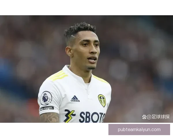 拉菲尼亚技术全面性备受关注，助力球队在新赛季竞争中增强实力