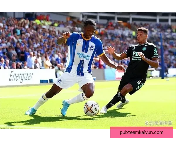 布莱顿未来规划中继续致力于提升球队竞争力与青训系统发展