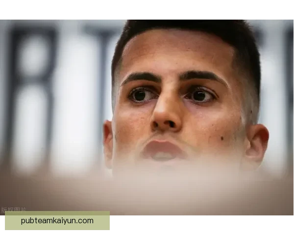 捷克球员转会英超动态分析，市场变化引人关注