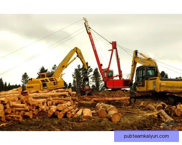 沙勒罗瓦战术调整后近期表现稳健